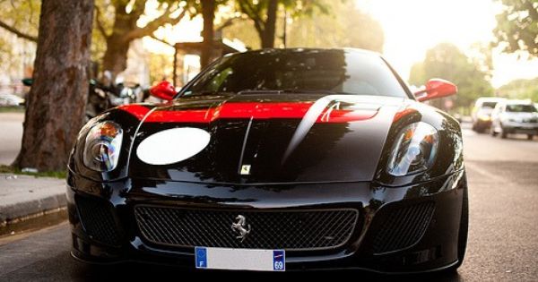 Ferrari - cute picture