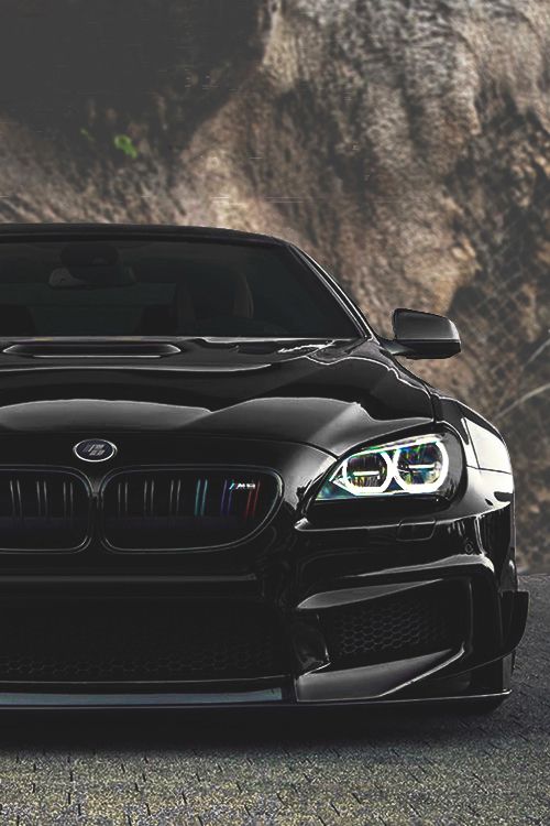 BMW automobile - cute photo
